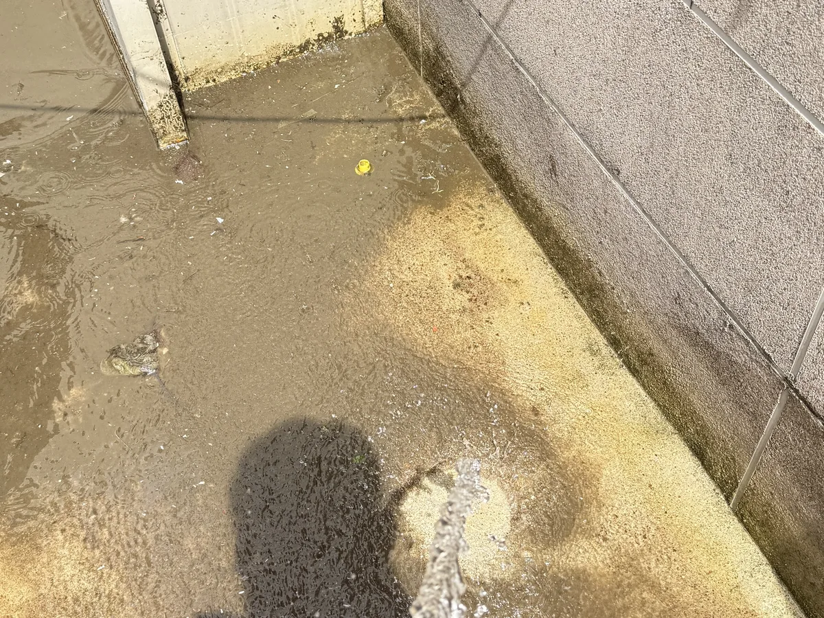 신안군 도초면 침수 현장 복도·대기 동선 야간 위생청소 사례 - 행진크린